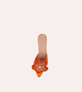 FLORA